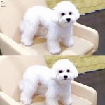 [VIVI] 비비야 너 <b>글</b> 톡<b>선</b>갔다ㅋㅋㅋㅋㅋㅋㅋ