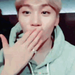 [세븐틴] 캐로<b>시들</b>~~~~