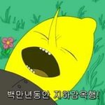 야들아 그 <b>방어</b>짤좀주랑ㅋㅋㅋㅋㅋ