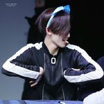 [세븐틴] ㅅㄷ너희는 애들<b>음색</b> 다 구분가능해..?