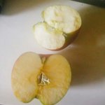 [꼭조언부탁] 코에서 사과맛이 나는데 어떡해야 하죠ㅋㅋㅋㅋㅋㅋㅋ...