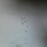 [EXO] 둘기 개육대 오는길까지