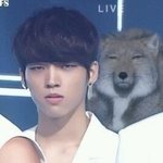 [인피니트] 누가 더 <b>티벳</b>여우를 닮았나 김성규 vs 남우현