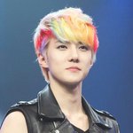 [EXO] 앵무새 ㅈㄴ 레전드인데