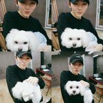 [세븐틴] ㅅㄷ애들영상 볼때 나만이래?ㅋㅋㅋㅋ