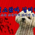 [EXO] 이거 수정 좀 하면 될 것 같은데