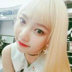 조이는 <b>봄</b><b>웜</b>이지?
