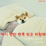 [방탄소년단] <b>이</b>삐들 역시