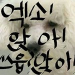 [EXO] 엑소!앉아!쓰읍?앉아!