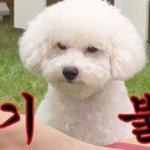 [EXO] 엑소여기..나와<b>소모</b>해..??