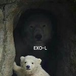 [EXO] 아님 이짤도 좋은데ㅋㅋㅋㅋㅋ