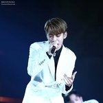 [BAP] 댛드리브병