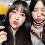 <b>나뮤</b> 금조ㅋㅋㅋㅋㅋㅋㅋ