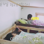 [세븐틴] 권순영 알람시계