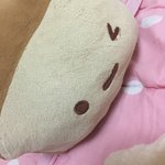 [댓글부탁해] 우리집에도 <b>식빵</b>베개있다