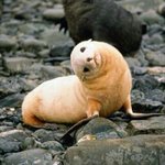 [드루와] 헐 닉네임 <b>Jk</b>인애 있잖아