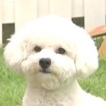 [EXO] 너희설마이<b>제스</b>밍안돌리는거아니지?