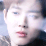 [EXO] 내 중복 포카 볼래?