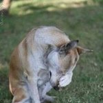 [ㅠㅠㅠㅠ] 대학 예비<b>신입</b>생인데 대학교 가기싫어.. 너무 무서워...