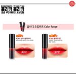 홀리카 <b>오일</b>틴트
