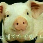 [댓글부탁해] 옛날에 엑소첸이 네이트판에 글올렸었어?