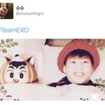 [시우민] 시우민과 <b>동침</b>한 슈슈?