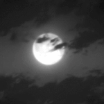 [드루와] 철구,<b>신태일</b>이런 사람들 없어졌으면 좋겠다