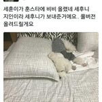 [EXO] 나어제<b>핸드폰</b>못해서 이거지금봤는데