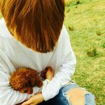 [인피니트] 얘들<b>아이사진</b>