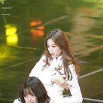 [댓글부탁해] 얘들아 원래 졸사는 망하는거지?