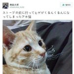 [조언부탁] 어제 <b>자해</b> 했어