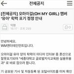 [댓글부탁해] 오마이걸 유아 허언증에 대한 최종 진실