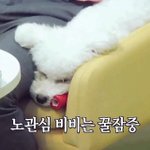 [EXO] 비<b>비야</b>사랑해...비비야..비비..비비야...ㅠㅠㅠㅠㅠ비비야ㅠㅠ