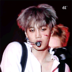 [카이] 내일 곰일파티 예매날이네ㅠㅠ