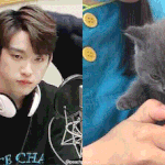 <b>갓세븐</b> 팬들아 잠깐만