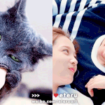 [인피니트] ㅅㅍㅈㅇ?)) 묭