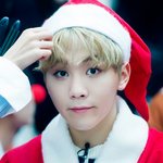 [세븐틴] @@10시부터 2차 불판 시작@@