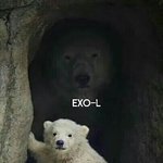 [EXO] 나는 이 <b>짐승</b>사진을 참 좋아한다