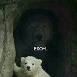 [EXO] 이거 밝기좀 높여서하면<b>안대</b>?추반