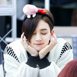 [세븐틴] ㅅㄷㅅㄷ 이쁜 세봉이들 가사 추천해줘!