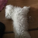 [EXO] 우리<b>집개</b>35)이거 100번 되면 100특집해야지 근데...
