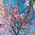 [댓글부탁해] 대학오티때 치마입으면 <b>오바</b>에요??