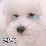 [드루와] 염색  추반해줄 이.쁜.이.