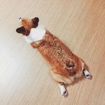 [모두드루와] 솔직히 덕질하면서 공감되는거