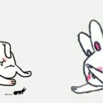 설리 노브라 노브라 하는데