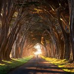 역마살 자극하는 <b>북미</b>여행 사진