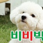 [EXO] <b>눈정화</b>짤