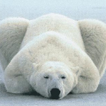 후방카메라 사진 찍으니까 눈 조카 <b>사시</b>같이나옴