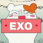 [EXO] 진짜 궁금해서 암걸릴거같아 제발 도와줘