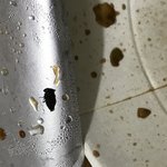 [개깊은빡침] 아 컵라면 먹다가 <b>파리나</b>옴;;;;개소름(사진첨부)